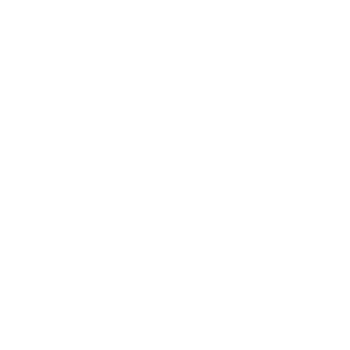 Digital Focus logo